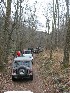 On the trail